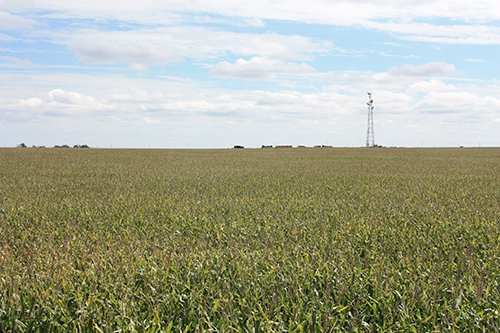 Property photo 5 - LAND AUCTION, 3255+/- Acres offered in 13 Tracts